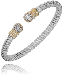 ALWAND VAHAN
