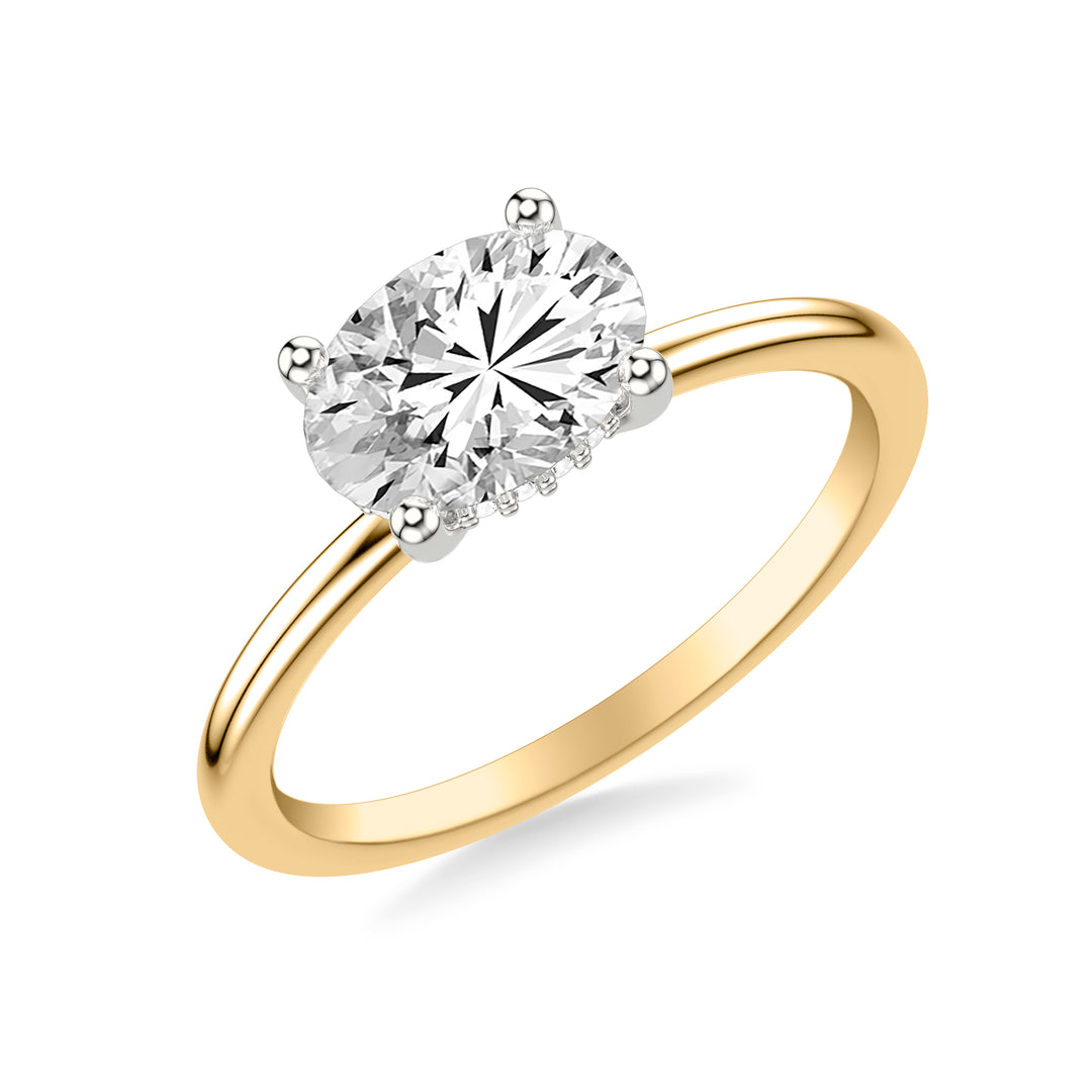 31-12217GVYW-E.00 - Goldman - Classic East West Solitaire Engagment Ring and Hidden Diamond Halo with Polished Shank