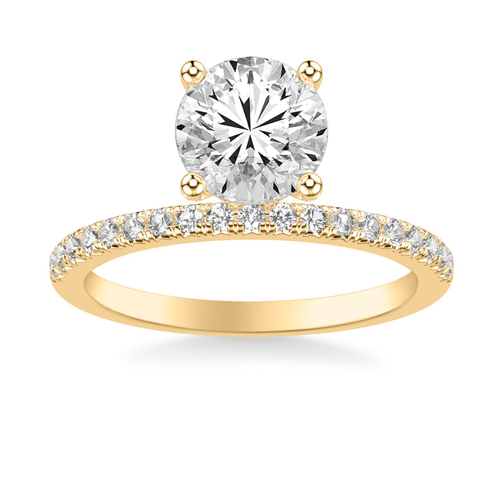 Contemporary Floating Diamond Engagement Ring with Diamond Shank.  Center Stone is not included.