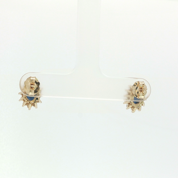 Colored Stone Earring