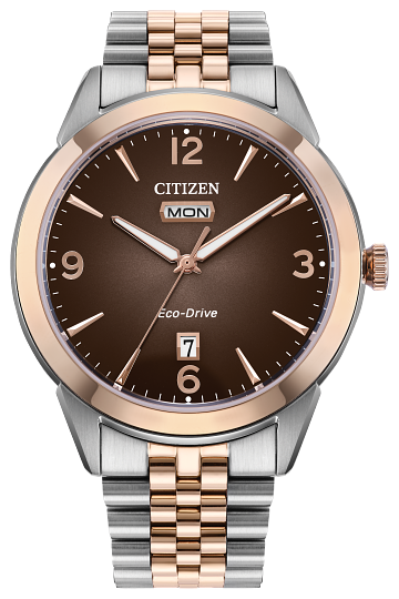GTS. CITIZEN WATCH